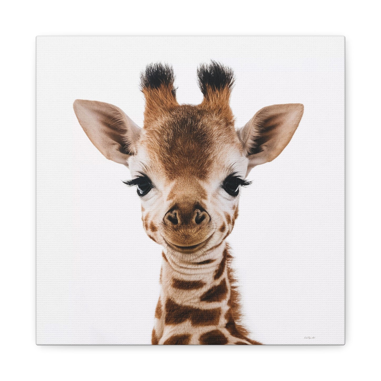 Canvas Wall Art, Giraffe Fine Art Photography Image, Animal Lover Decor, Baby Children's Room, Matte Stretched Print - LOLA VEGAS ART