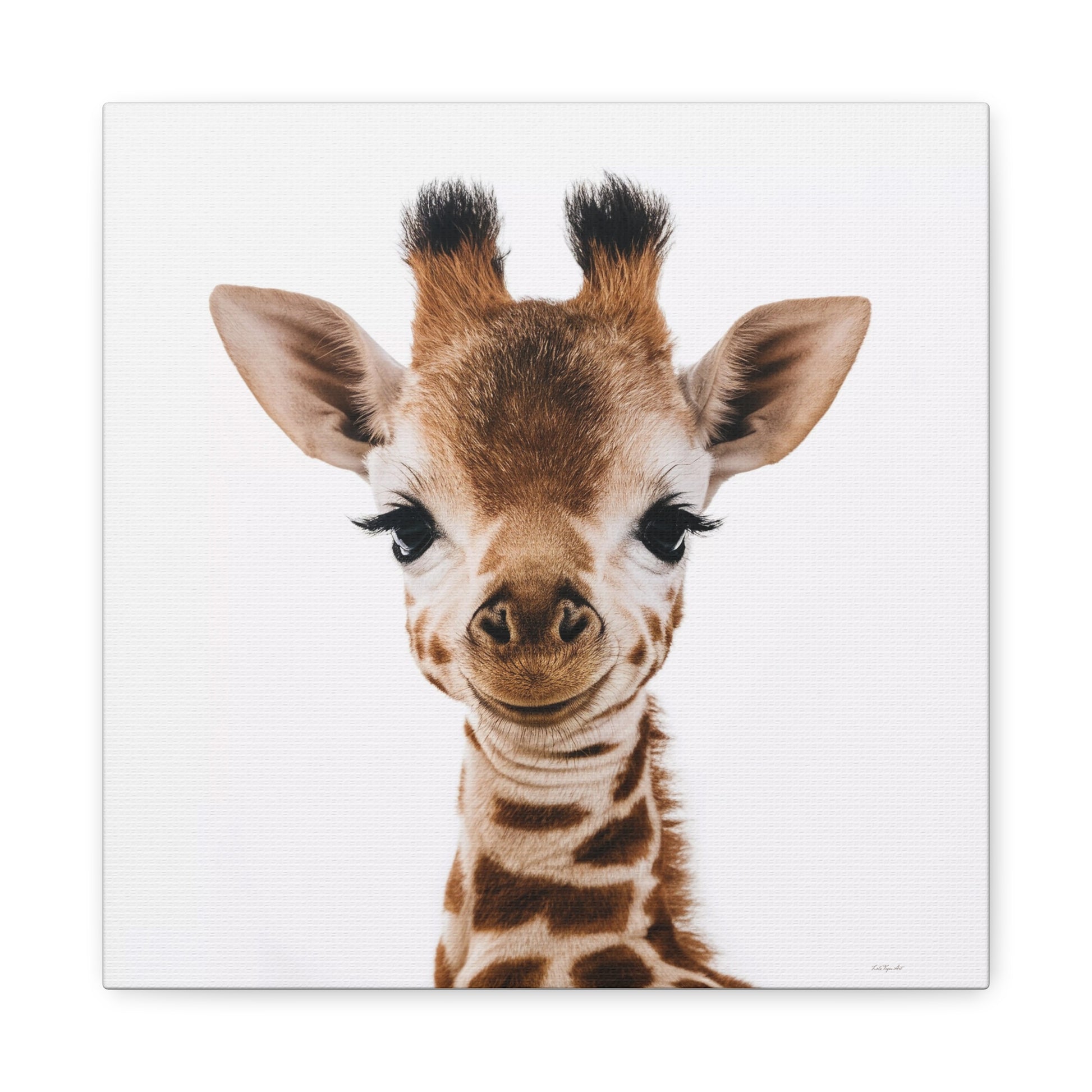 Canvas Wall Art, Giraffe Fine Art Photography Image, Animal Lover Decor, Baby Children's Room, Matte Stretched Print - LOLA VEGAS ART