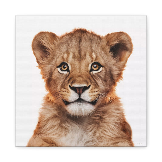 Canvas Print, Baby Lion Fine Art Photography, Stretched Matte Wall Art for Animal Lovers and Kids Room Decor, Nursery Safari Theme, Jungle - LOLA VEGAS ART