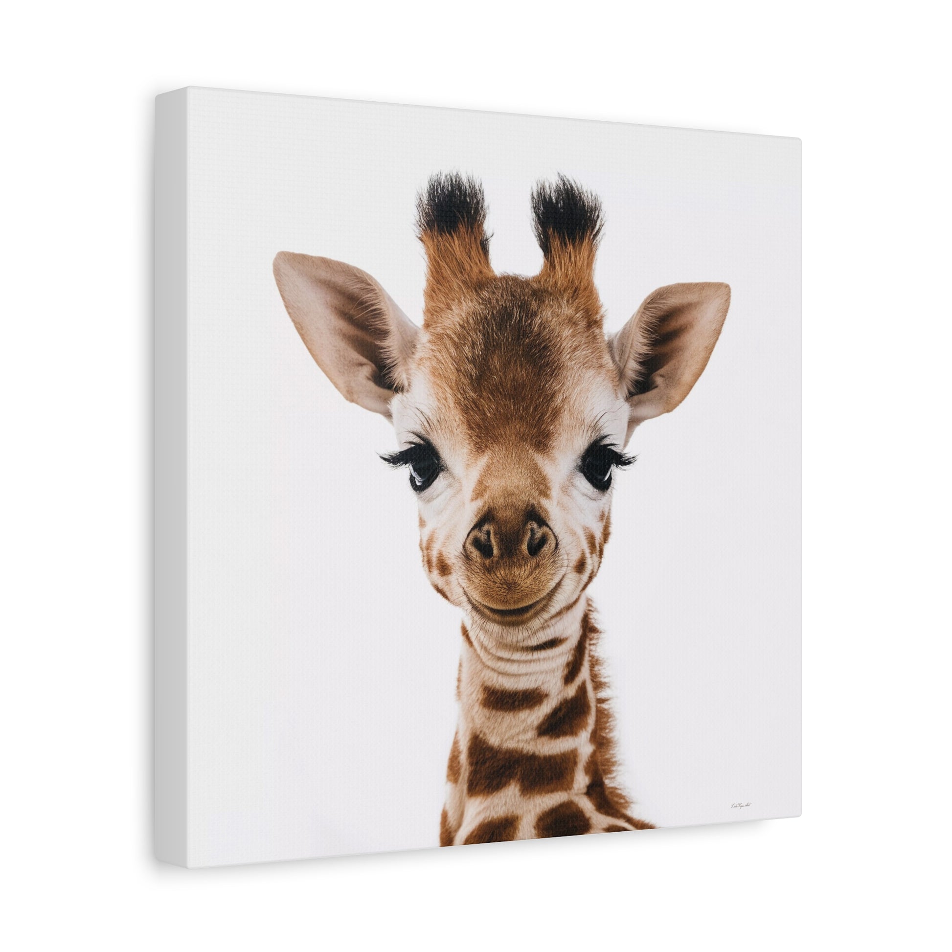 Canvas Wall Art, Giraffe Fine Art Photography Image, Animal Lover Decor, Baby Children's Room, Matte Stretched Print - LOLA VEGAS ART