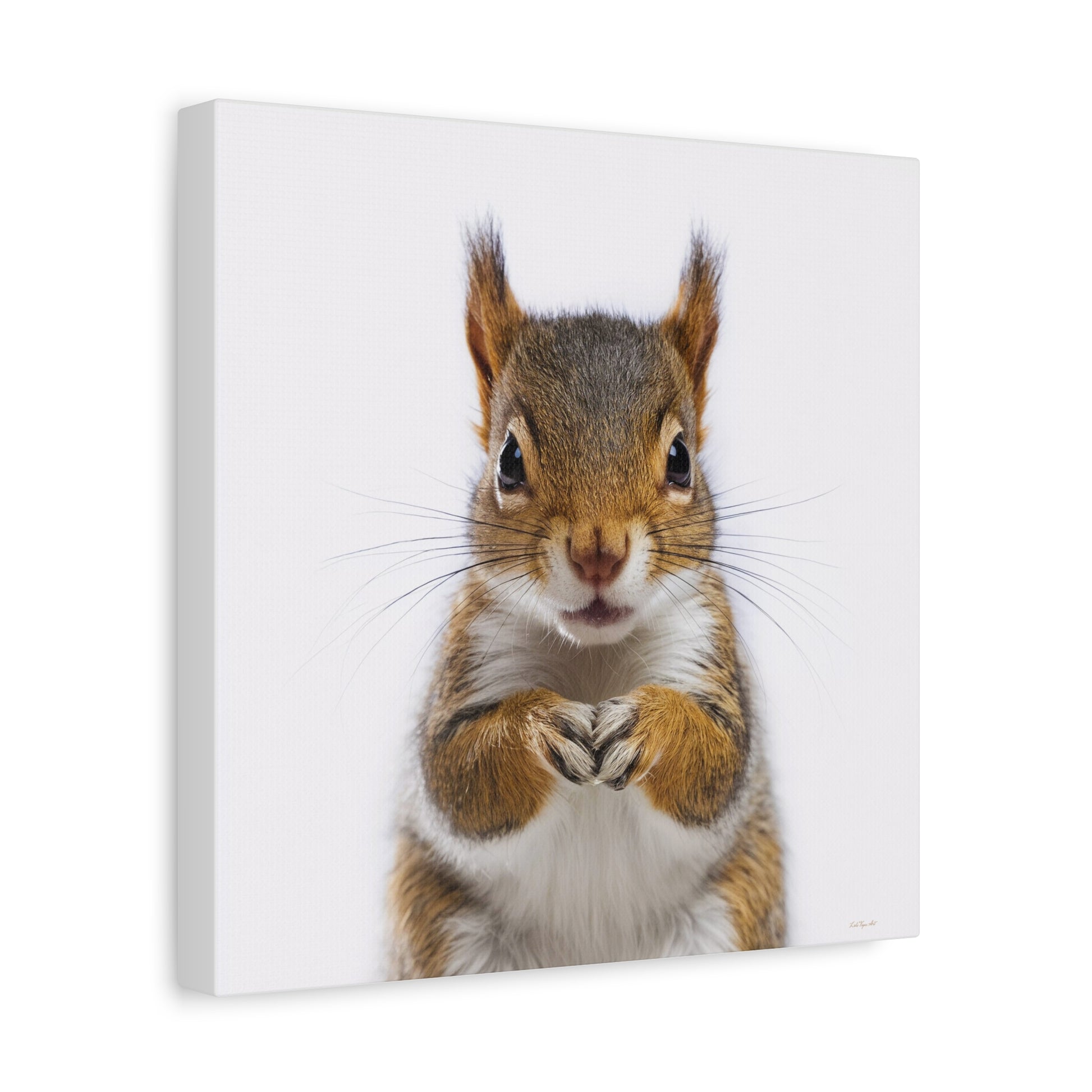 Canvas Print, Baby Squirrel Fine Art Photography on Matte Stretched Canvas, Animal Lover Decor, Children's Room Wall Art, Nursery - LOLA VEGAS ART