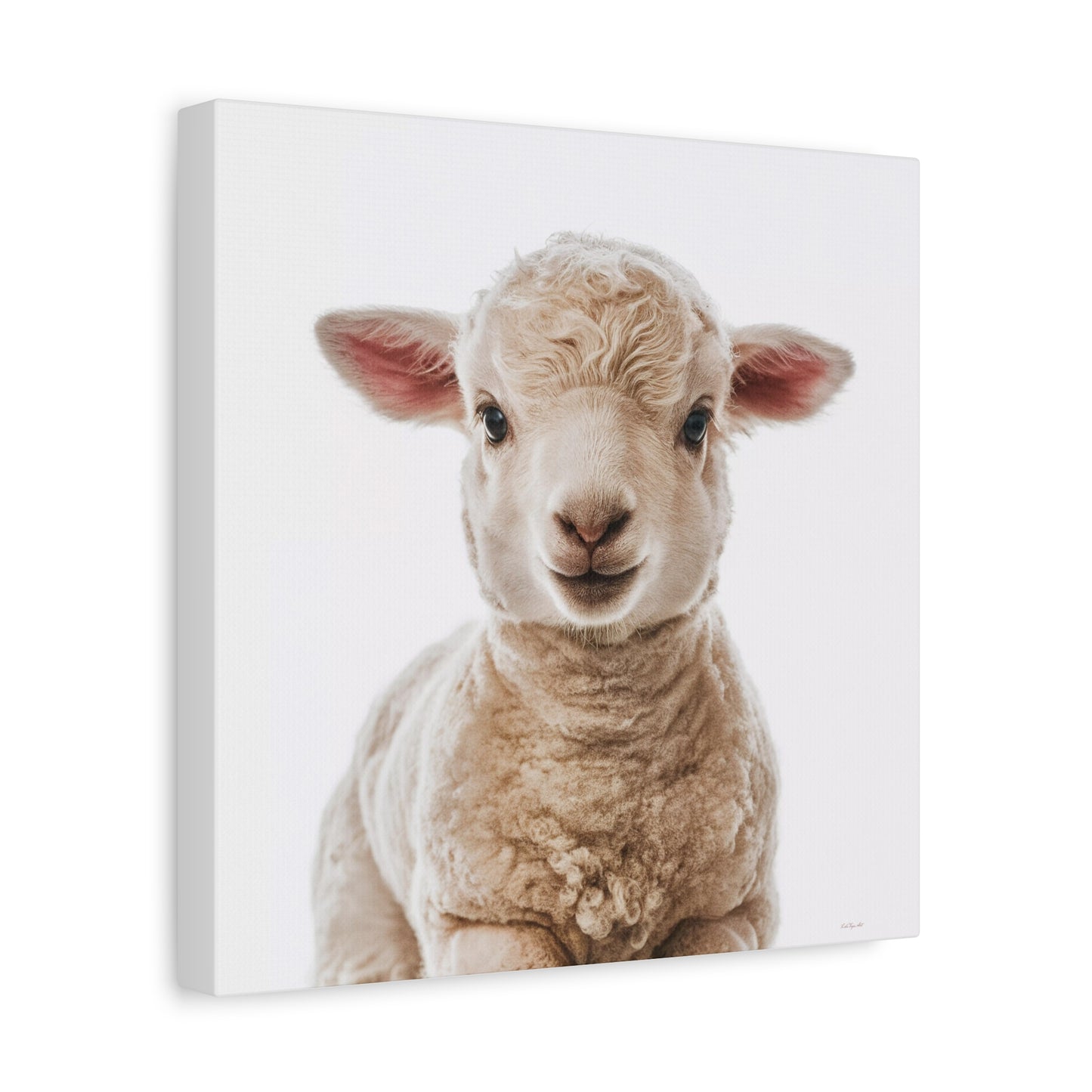 Canvas Wall Art, Baby Lamb Square Matte Stretched, Animal Lover Gift, Children's Decor, Fine Art Photography Print - LOLA VEGAS ART