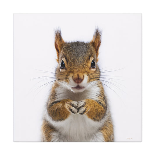 Canvas Print, Baby Squirrel Fine Art Photography on Matte Stretched Canvas, Animal Lover Decor, Children's Room Wall Art, Nursery - LOLA VEGAS ART
