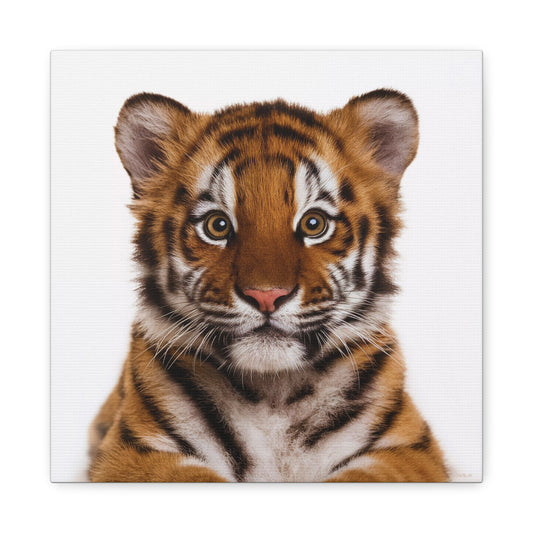 Canvas Print, Baby Tiger Fine Art Photography, Animal Lover Decor, Nursery Wall Art, Children's Room Decor, Matte Stretched Canvas