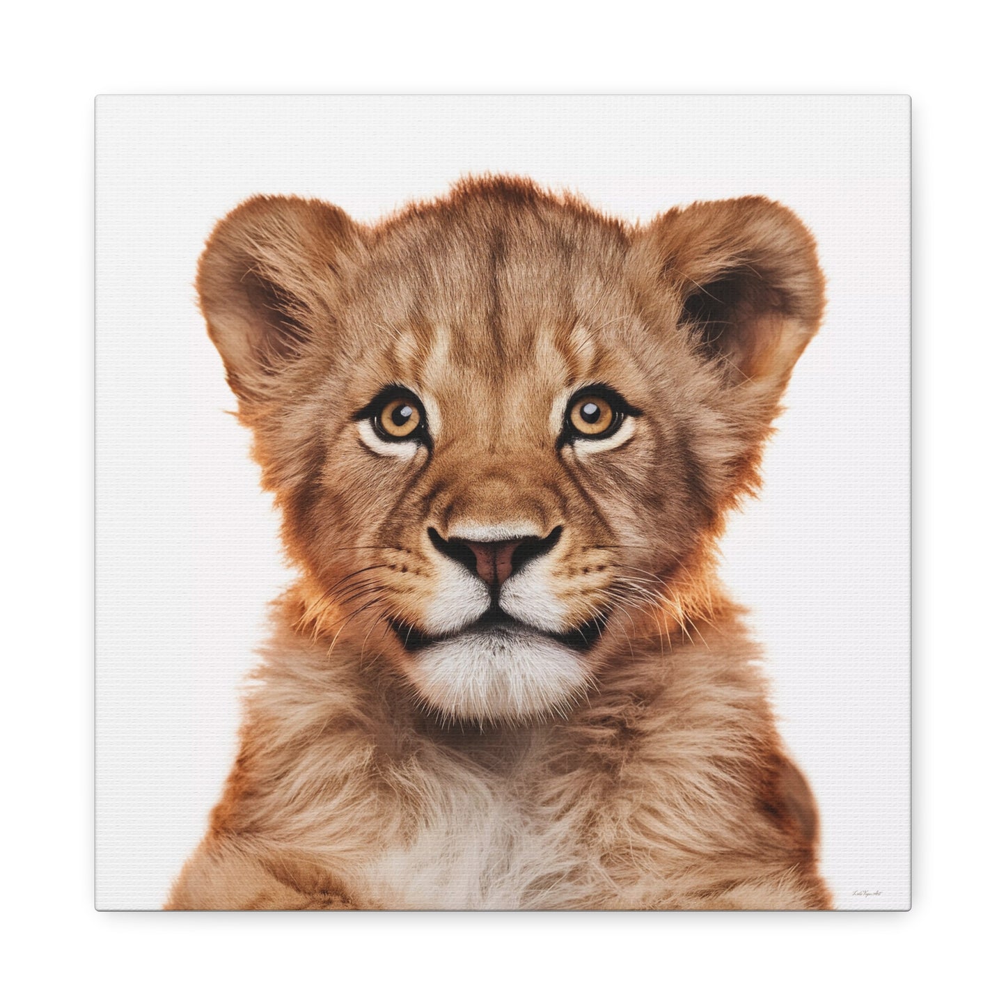 Canvas Print, Baby Lion Fine Art Photography, Stretched Matte Wall Art for Animal Lovers and Kids Room Decor, Nursery Safari Theme, Jungle