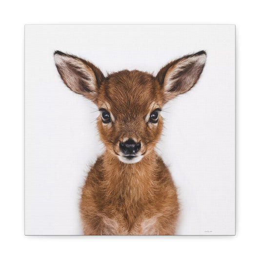 Canvas Wall Art, Baby Deer Photo, Animal Lover Decor, Children's Room, Matte Stretched Print