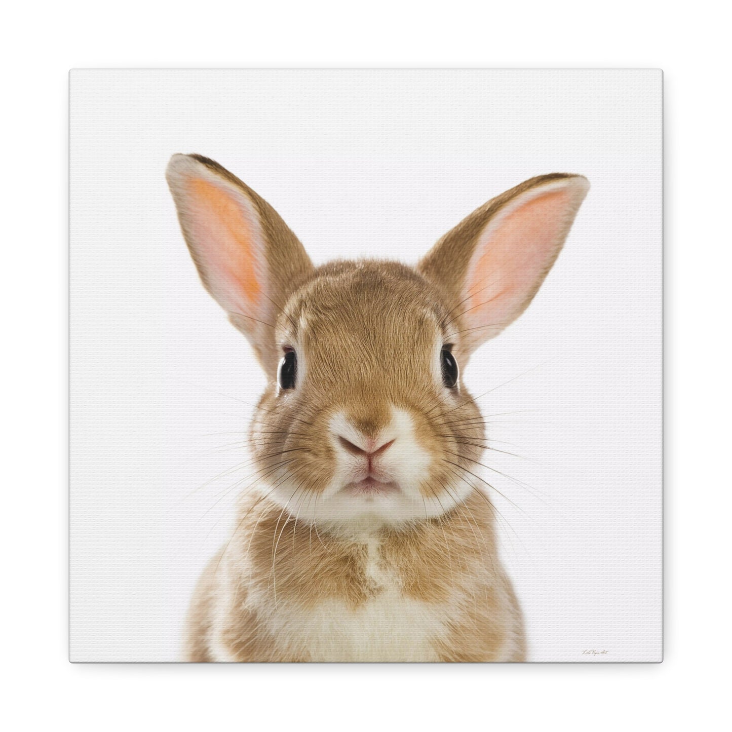 Canvas Print, Baby Bunny Fine Art Photography, Animal Lover Decor, Children's Room Wall Art, Matte Stretched Canvas, 1 25"