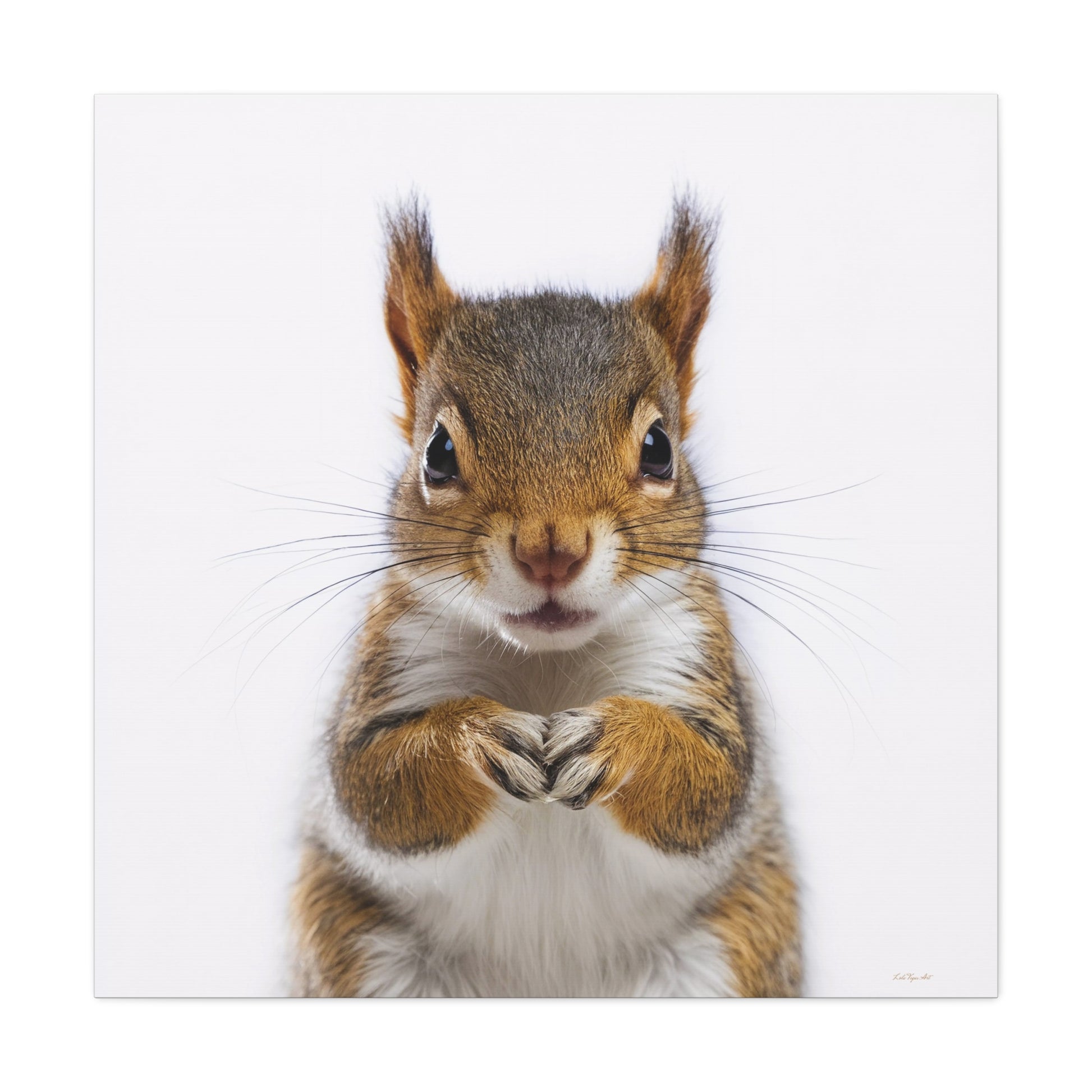 Canvas Print, Baby Squirrel Fine Art Photography on Matte Stretched Canvas, Animal Lover Decor, Children's Room Wall Art, Nursery - LOLA VEGAS ART