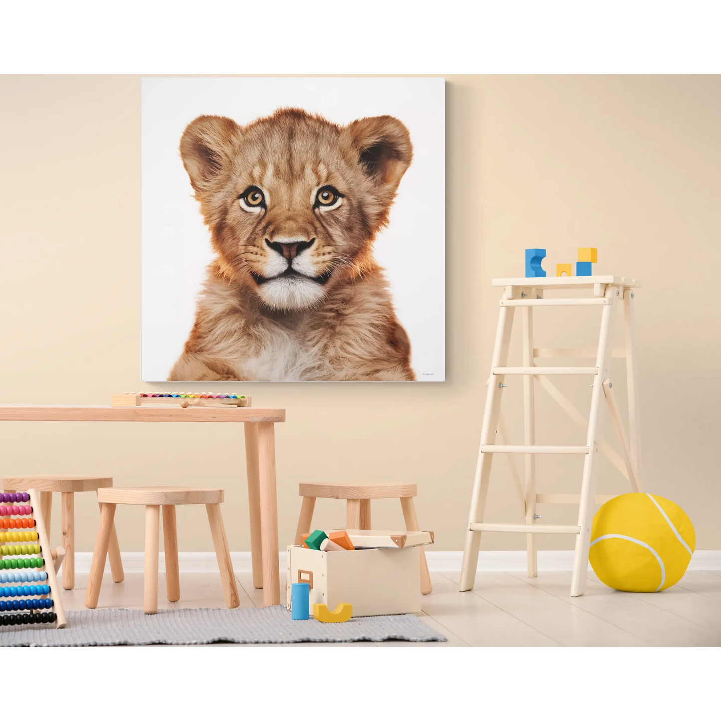 Canvas Print, Baby Lion Fine Art Photography, Stretched Matte Wall Art for Animal Lovers and Kids Room Decor, Nursery Safari Theme, Jungle